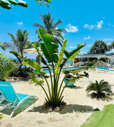 Teahupoo Apartment | Pension Irivai appartement "Uparu" 1 chambre bord de mer