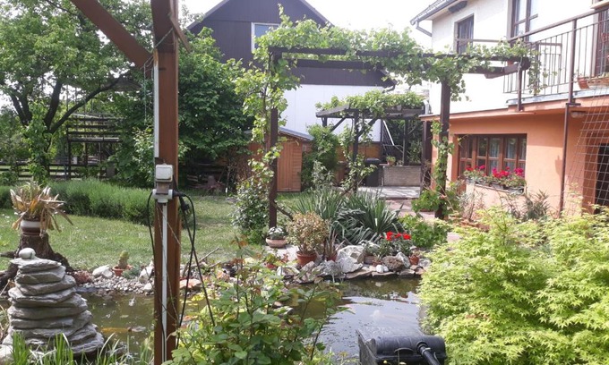 Mikulov House | Pension Zelený strom