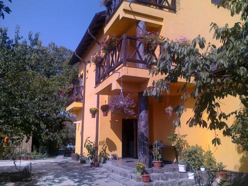Tirgu Ocna House | Pensiunea Elena