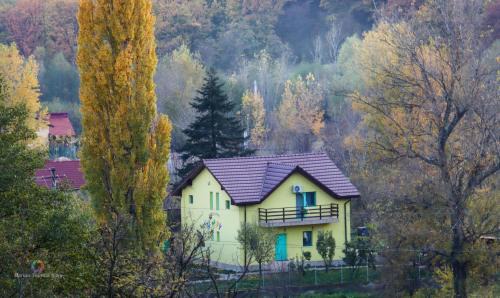 Izvoru Barzii House | Pensiunea HAPPY