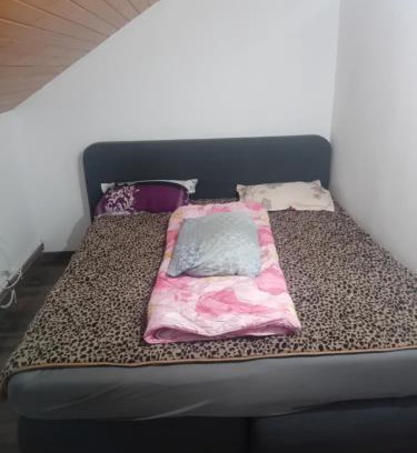 Viseu de Sus Ski Chalet | Pensiunea Leo