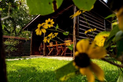 Valea Mare-Pravat Cabin | Pensiunea Namaesti