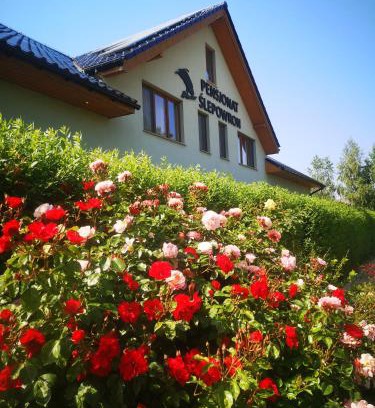 gmina Wolin Apartment | Pensjonat Ślepowron