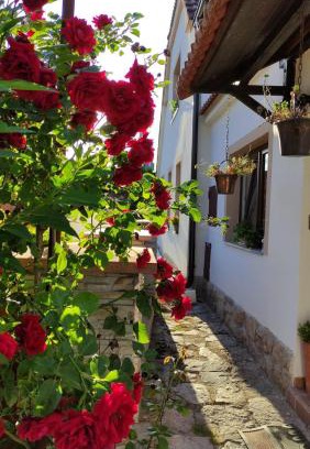 Ceske Budejovice 7 House | Penzion Chlumec