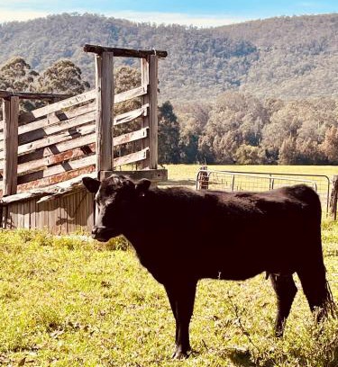 Clarence Town House | Peppercorns Riverside Farm Stay