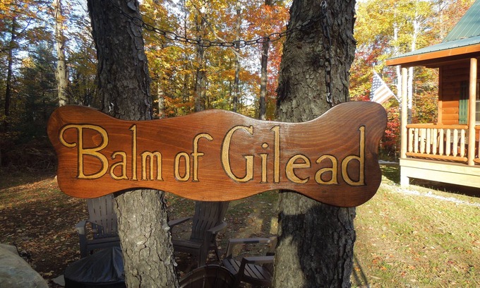 North River Cabin | Perfect Adirondack getway for two! Now booking for fall and winter stays.