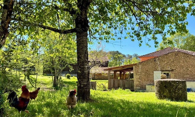 Gaugeac Cottage | Petit Maison a la Ferme; Terrasse Couvert, Jacuzzi, Cuisine Exterieur