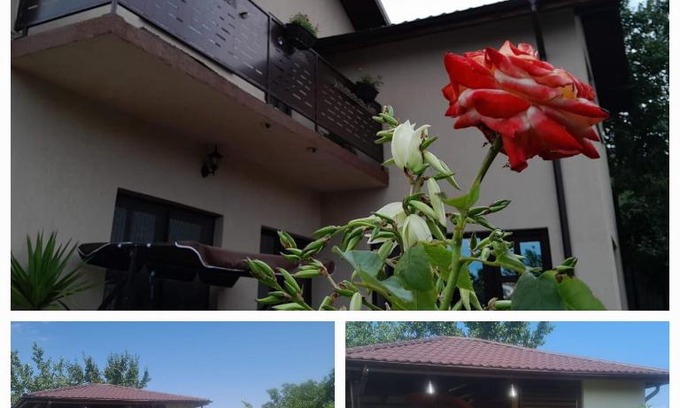 Niculitel House | PIATRA ROSIE Pensiune Agroturistică