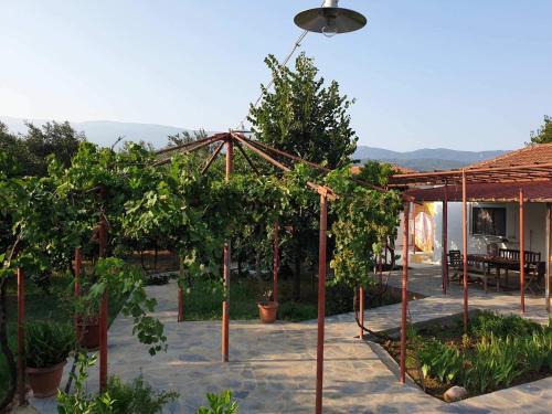 Koropi House | PILIO PARADISE GARDEN