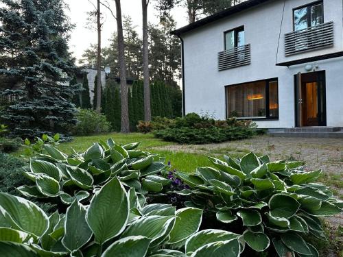 Pirita Villa | Pirita Beach Villa
