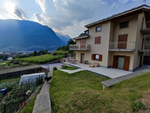 Tirano Apartment | pisolo selvaggio