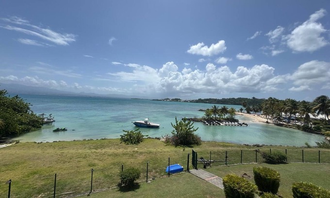 Pointe de la verdure Apartment | Pitaya Location - Le Yucca - Studio