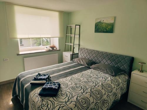 Plateliai Apartment | Plate lyn atostogų būstas