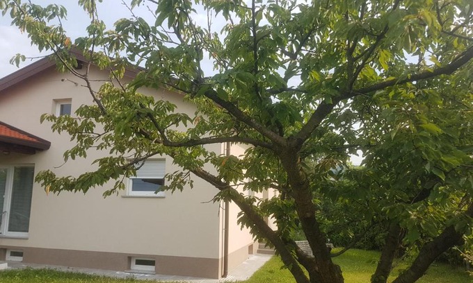 Brda House | Počitniška hiša Hum