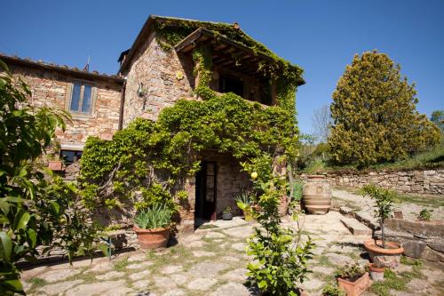 Radda in Chianti House | Podere Terreno alla via della volpaia