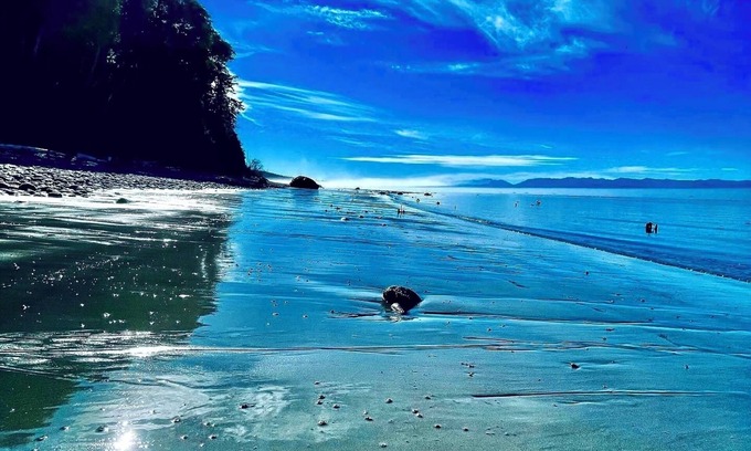 Juan de Fuca Electoral Area House | Points West Oceanfront Resort 2 Bed Ocean Point Suite