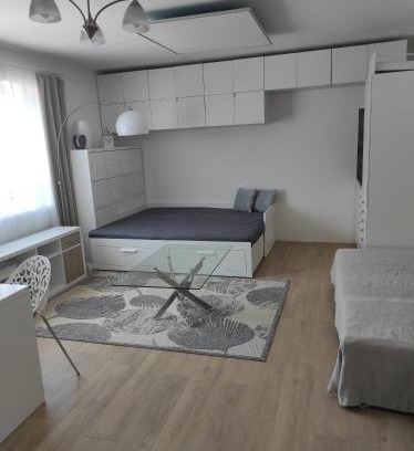 Nechvalin Apartment | Pokoje v přízemí RD - terasa, bazén, zahrada