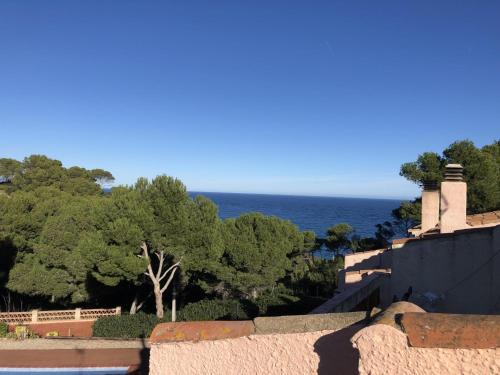 Begur House | Pollo
