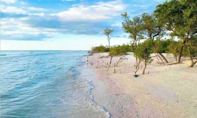 Cobbs Landing House | *Pool* 8.5 miles to Honeymoon Island. 4 bdr