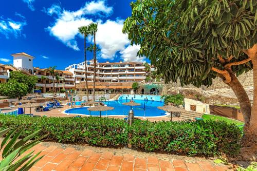 San Miguel de Abona Apartment | Pool View Albatros Tenerife