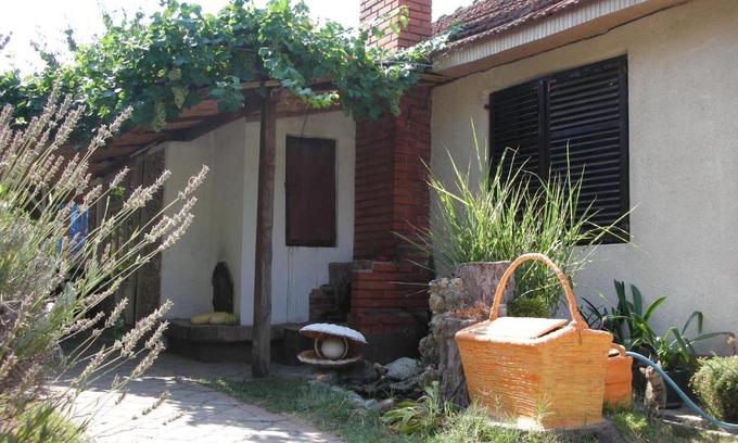 Negotin Apartment | Pržić House