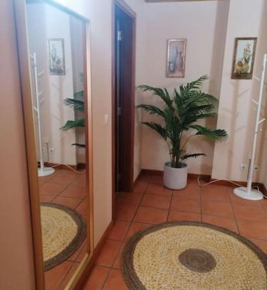 Praia de Mira Apartment | Praia de Mira - Apartamento T2