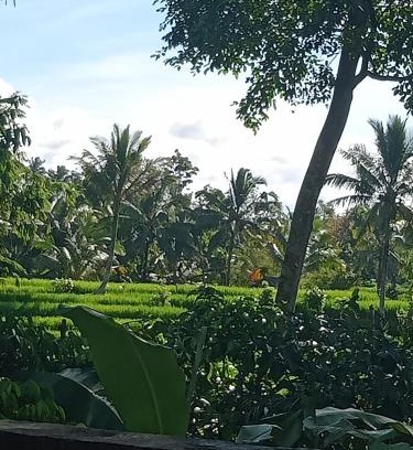 Wongaya Gede Bed & Breakfast | pranamastra bali