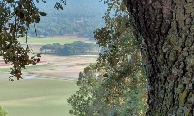 Mata de Cuellar Cottage | Preciosa, Tranquila y Amplia Casa en Tierra de Pinares con Piscina Privada