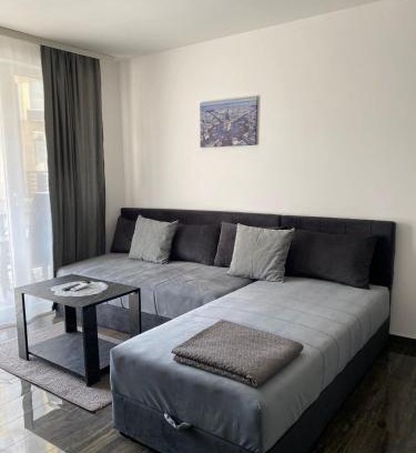 Veliko Gradiste Apartment | Prenoćište SILVER LUX Srebrno Jezero 6