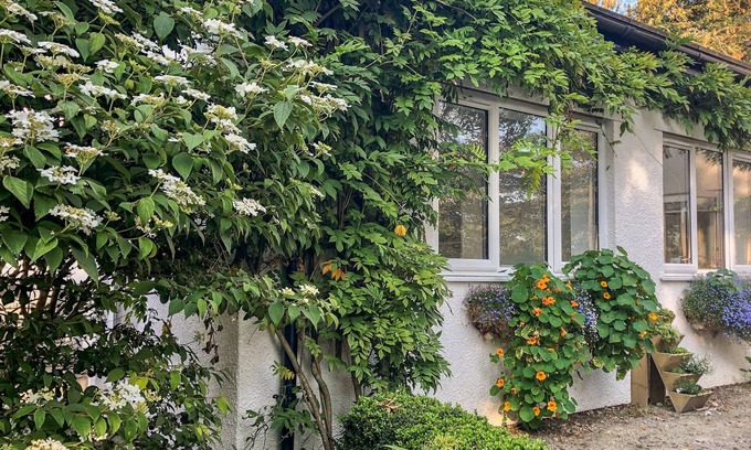 Brazzacott Cottage | PRIMROSE END, pet friendly, country holiday cottage in Jacobstow
