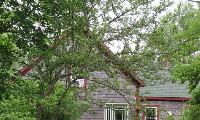 Barrington House | Privacy Within Community