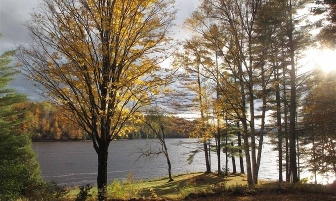 Lower Waterford Cabin | Private Elegant Waterfront Home, 4 Acres, Views! Fam Friendly!