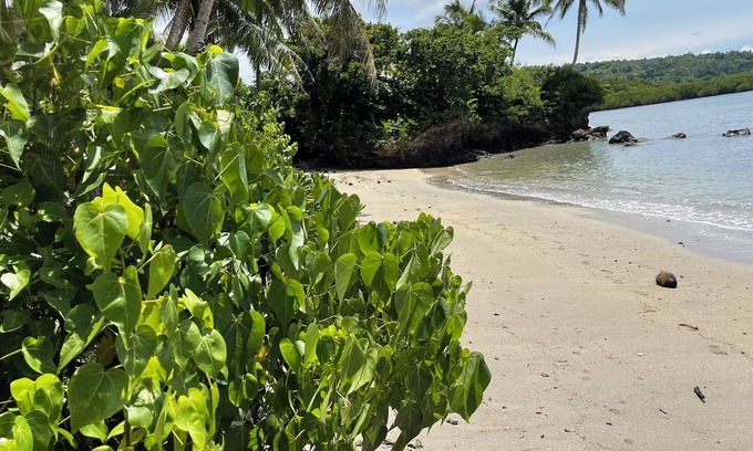 Savusavu House | Private Island Escape Fiji ,Yoga,Wellness & Beachfront Serenity.