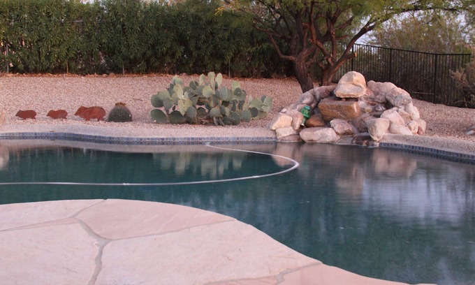 Groves Lincoln Park House | Private Pool & Hot Tub! Pet Friendly! Come relax in our private back yard.