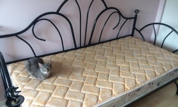 La Riviere-du-Nord Regional County Municipality Resort | Private room ∙ 1 guest