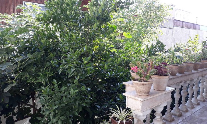 Rasht Resort | Private room ∙ 2 guests