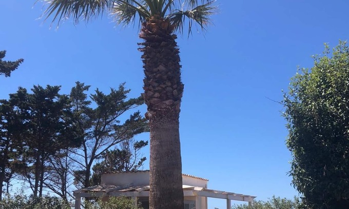 San Vito Lo Capo Villa | Private Villa with Garden and Sea View in quiet area near the Beach