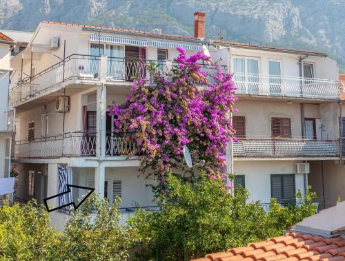 Zelenka Apartment | PRLIĆ