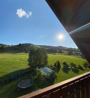 Niedzwiedz Apartment | PrzyStań w Gorcach