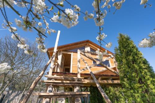 Ustek House | Ptačí domek
