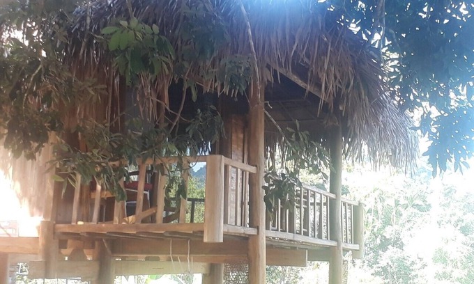 Pu Long Nature Reserve Cabin | Pu luong Discovery Tree Bungalow