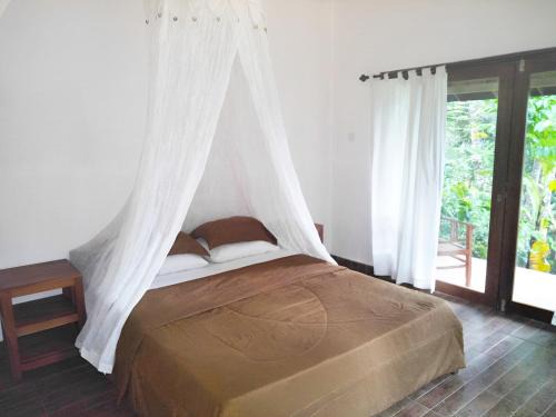 Penebel House | Purana Guest House