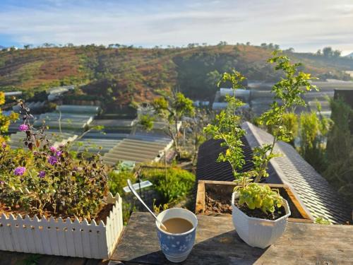 Da Lat Hotel | Quán Nhỏ Trên Đồi Homestay