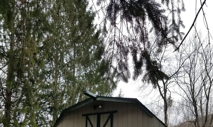 Waterville Cottage | Quaint cottage close to rail trail and next to Pine Creek.