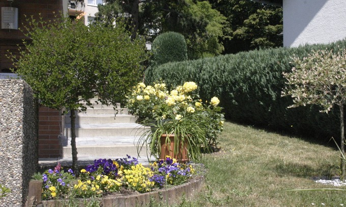 Ruedesheim am Rhein Apartment | Quiet apartment, vineyards nearby, 15 minutes walk to the center,