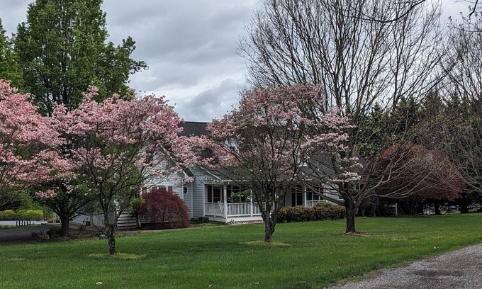 Lexington Apartment | Quiet Apt near Lexington and Buena Vista