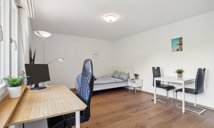 Schaffhausen Apartment | Quiet Location Workplace Coffee Parking Washer