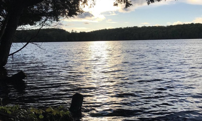 Lake of Bays House | Quiet, Private Muskoka Charm - Lake Front with Pool – Sleeps 8-10