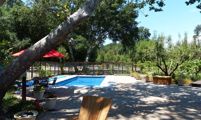 Eldridge Cottage | Quiet & Relaxing Cottage Nestled Next To an Orchard Minutes to Town Square