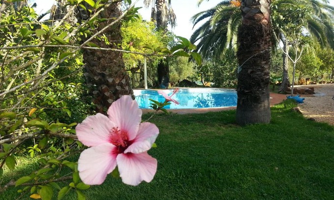 Baiona House | Quinta do Paraiso